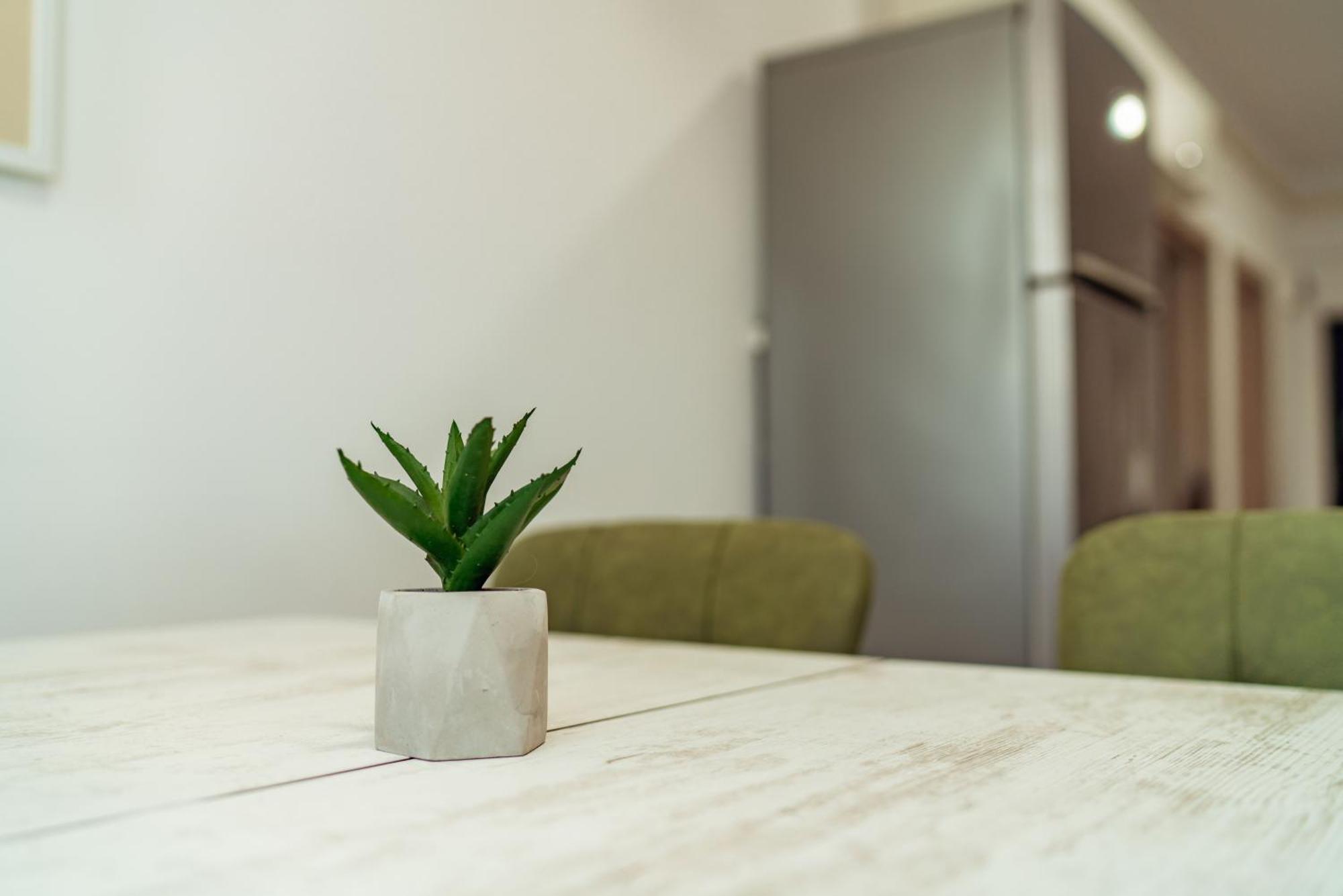 Cozy Apartments - One Residence Jassy Zewnętrze zdjęcie